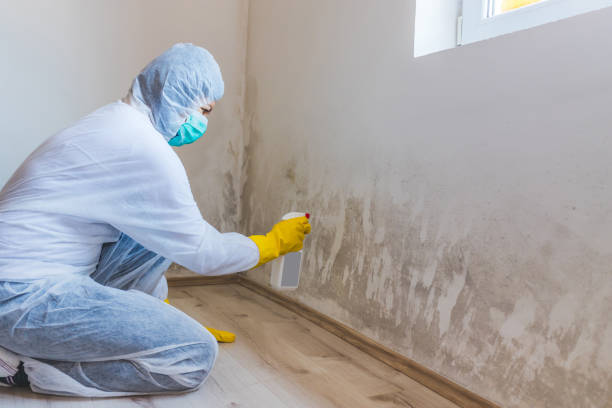 Licensed Crawl Space Mold Remediation service in Long Branch, NJ - 24 Hour Mold Removal