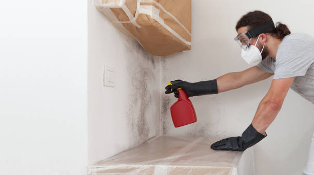 Professional Crawl Space Mold Remediation technician working in Long Branch, NJ