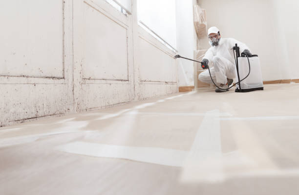 24/7 Emergency Crawl Space Mold Remediation experts in Long Branch, NJ