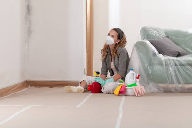 Reliable Crawl Space Mold Remediation contractor in Long Branch, NJ by 24 Hour Mold Removal