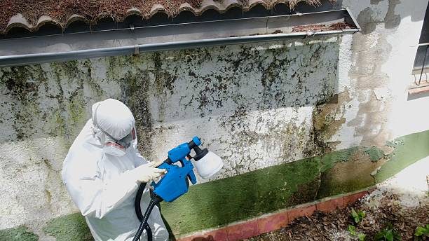 Top rated local Crawl Space Mold Remediation specialists in Long Branch, NJ
